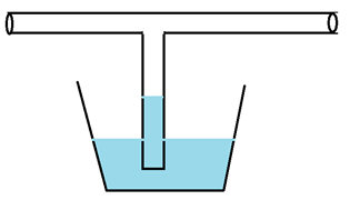 Картинки по запросу bernoulli conceptual problem