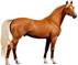 http://hdwallpapersrocks.com/wp-content/uploads/2013/12/Most-beautiful-horse-animal-image.jpg