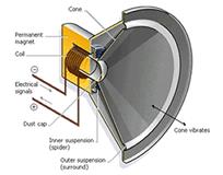 Cutout of a loudspeaker