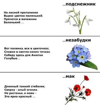 Picture background