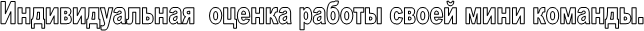 Индивидуальная  оценка работы своей мини команды.