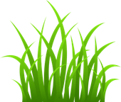 https://clipart-best.com/img/grass/grass-clip-art-22.png