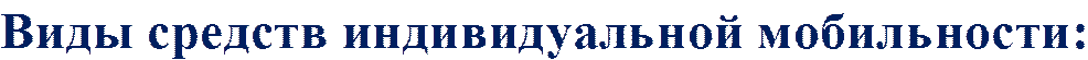 Виды средств индивидуальной мобильности: