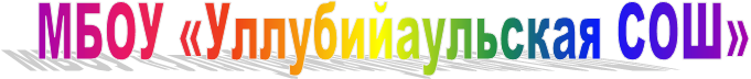 МБОУ «Уллубийаульская СОШ»
