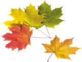 http://clipartmania.ru/uploads/gallery/main/445/autumn-leaves-35.png