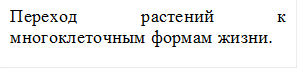 Переход растений к многоклеточным формам жизни.

