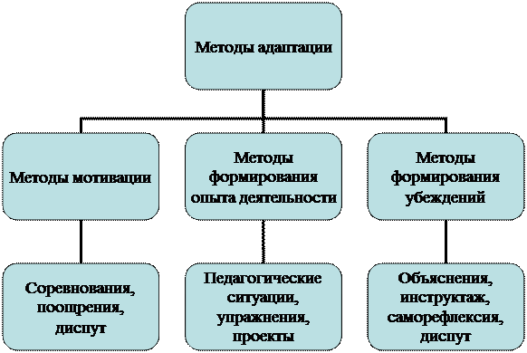 Organization Chart