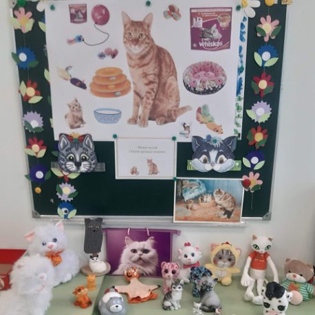 Фотография - 962296051018