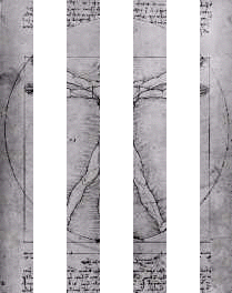 davinci1