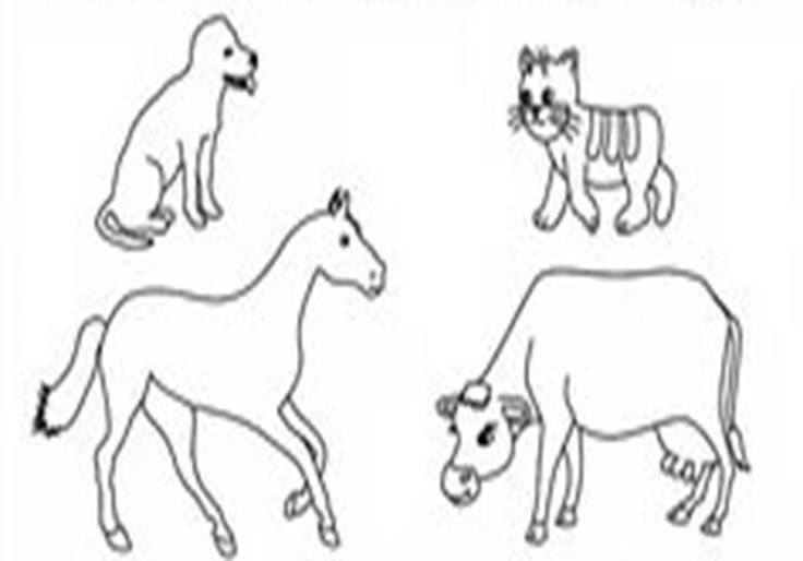 https://avatars.mds.yandex.net/i?id=dbd3b2b416690a1f2a824f4d0e6a4af179dc12bd-11004153-images-thumbs&n=13