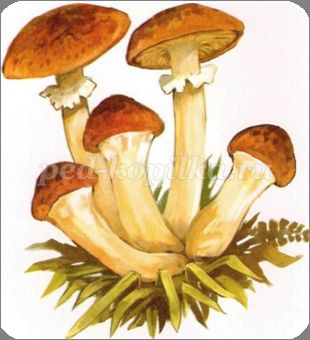 http://ped-kopilka.ru/upload/blogs/19069_4ff5d805ef80efbfeab4f672296dd8e6.png.jpg