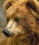 Описание: C:\Documents and Settings\Admin\Мои документы\Downloads\196216-2010-08-17-wapos_ru_16743g.jpg