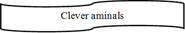 Clever aminals