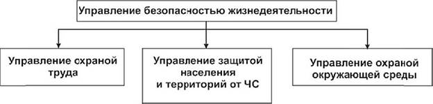 Схема управления безопасностью жизнедеятельности