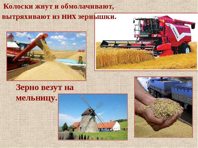http://cs622718.vk.me/v622718949/499cc/Z8VeZCPegQA.jpg
