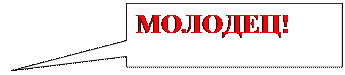 Прямоугольная выноска: МОЛОДЕЦ!