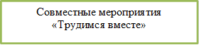 Совместные мероприятия
«Трудимся вместе»



