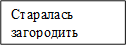 Старалась загородить