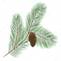 https://static3.depositphotos.com/1001091/141/v/950/depositphotos_1410074-stock-illustration-pine-cone-with-pine-needles.jpg