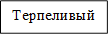 Терпеливый