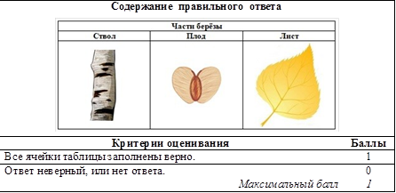 Вставить картинку в тест