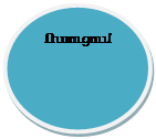 Овал: Ուսուցում