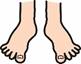 pair_of_feet.jpeg (1800Ã—1433)
