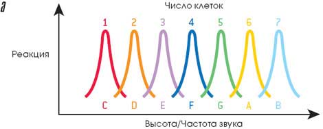 Во власти музыки (Секрет завораживающей власти музыки)
