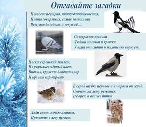https://fsd.multiurok.ru/html/2021/11/23/s_619d516f6b264/phpU4uVlV_Netodicheskaya-razrabotka-na-temu_pereletnye-pticy_html_6c01fb5acea3f3da.jpg