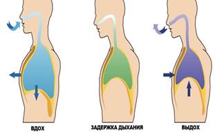 https://www.kleo.ru/img/articles/diagram-of-breathing-and-exhalationcopy.jpg