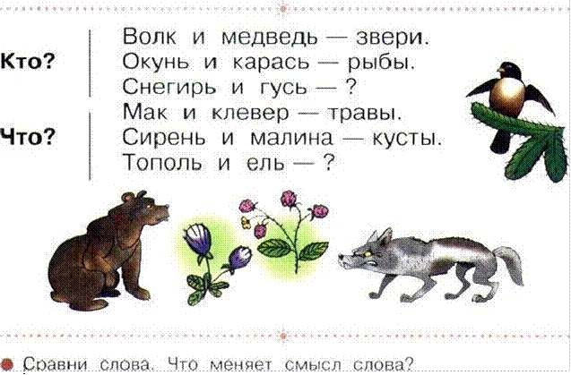 Карась слово за слово. Волк и медведь звери окунь и карась рыбы Снегирь и Гусь. Кто волк и медведь звери окунь и карась рыбы. Гусь и медведь животные. Галка на слоги.