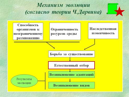 0004-004-Mekhanizm-evoljutsii-soglasno-teorii-CH.Darvina