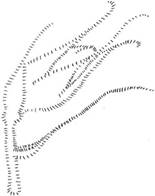 hello_html_4dac27b4.jpg