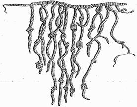 Quipu