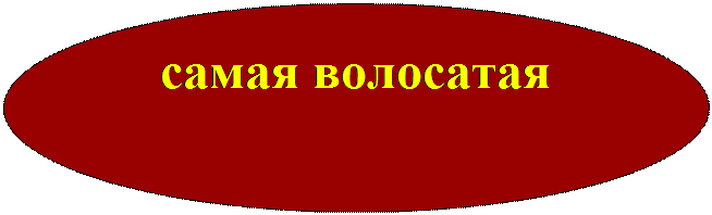 Овал: самая волосатая