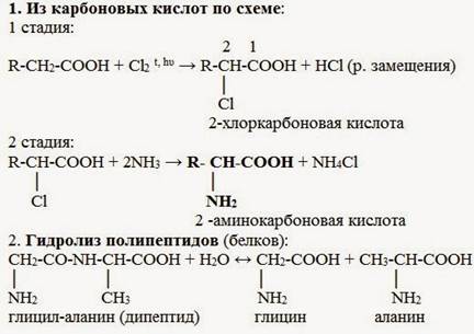 https://fsd.multiurok.ru/html/2022/01/31/s_61f844ce55cc0/phpHzZam8_4.-Azotsodeozhacshie-sodineniya_html_19d6863d49d49407.jpg