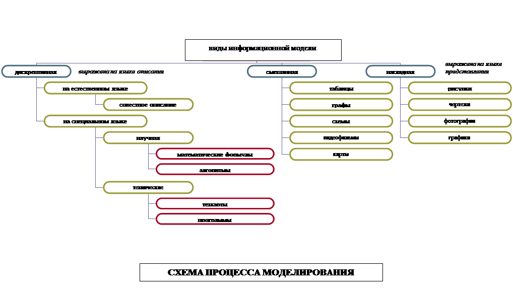 Organization Chart