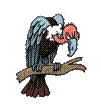 kisspng-turkey-vulture-clip-art-5b00cc2969f144.472527901526778921434.jpg