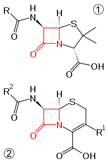 https://upload.wikimedia.org/wikipedia/commons/thumb/d/d8/Beta-lactam_antibiotics_example_1.svg/220px-Beta-lactam_antibiotics_example_1.svg.png