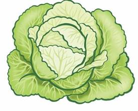 Описание: C:\Users\мв\Desktop\WhatsApp Image 2025-06-24 at 14.21.52.jpeg