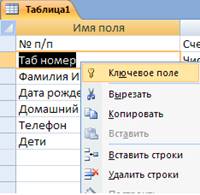 ris6.bmp
