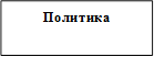 Политика