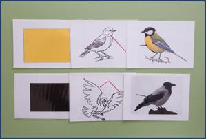 photo_2026-02-12_19-35-13