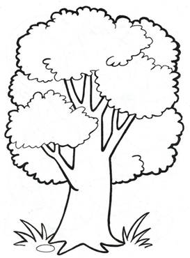 https://i.pinimg.com/originals/f3/3c/da/f33cda942153a8fd8e57aae24a7da907.jpg