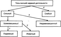 http://xreferat.ru/image/77/1307497608_1.png