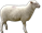 Картинки по запросу sheep png