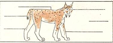 сканирование003