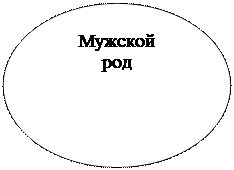 Овал: Мужской
род
