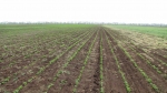 foto-03.jpg