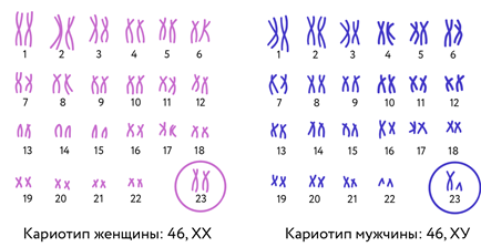 https://uploads-foxford-ru.ngcdn.ru/uploads/tinymce_file/file/177195/1cb4088ad1dd62b3.png